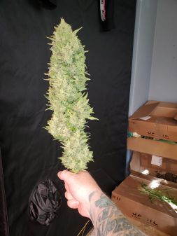 Review photo #2