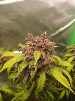 Review photo #2