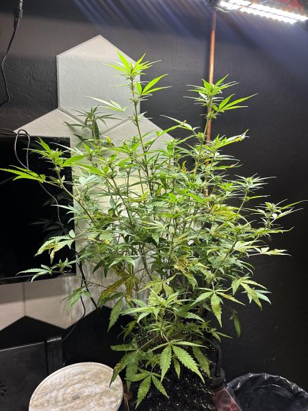 Review photo #2