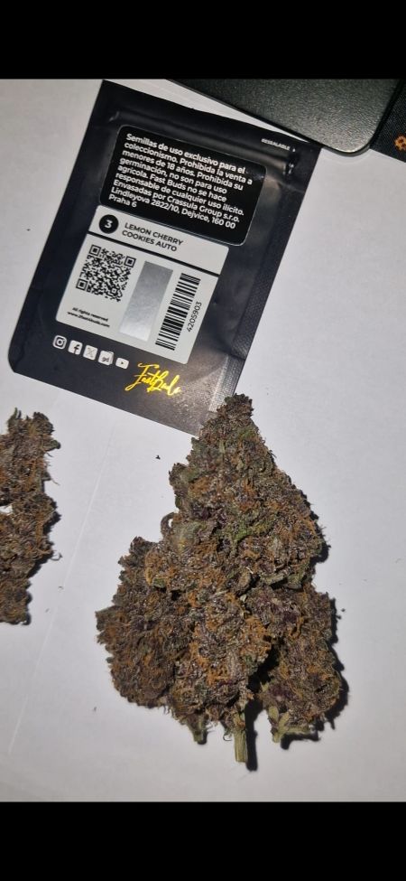 Review photo #8