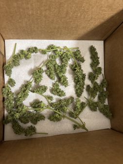Review photo #6