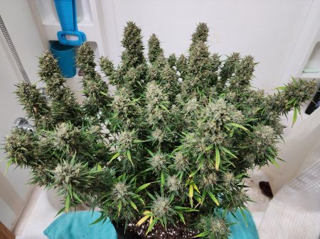 Review photo #3