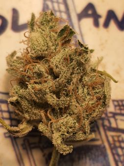 Review photo #1