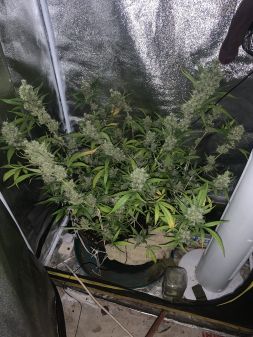 Review photo #2