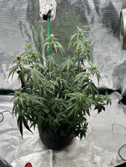 Review photo #9