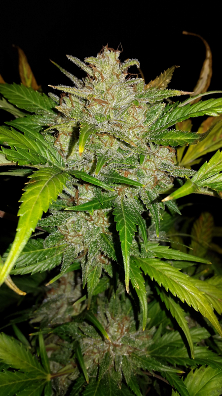 Review photo #3