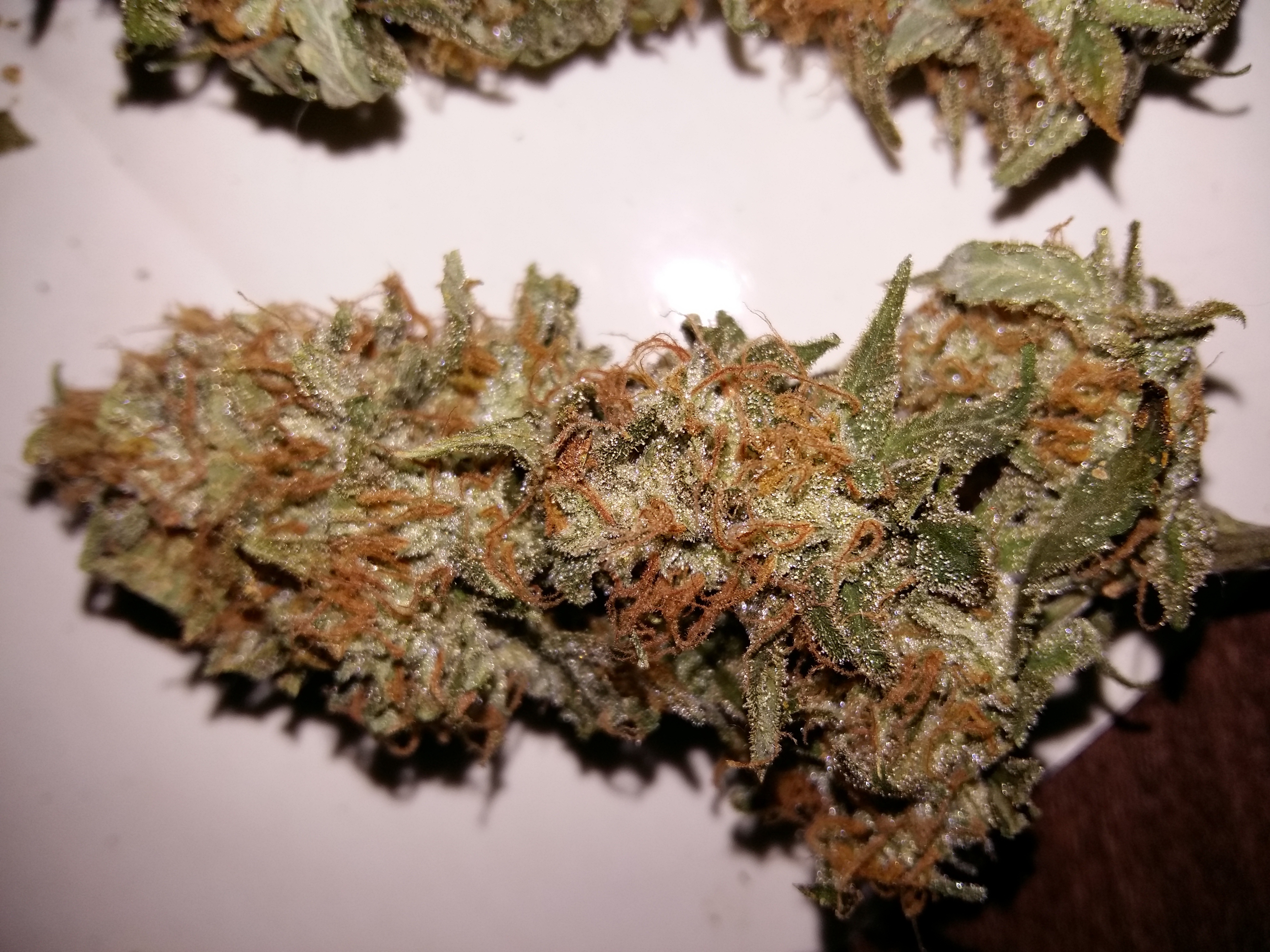 Review photo #1