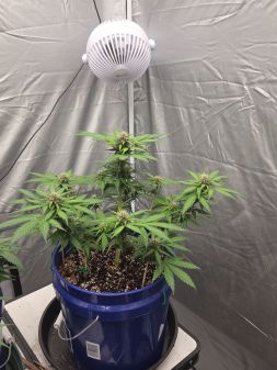Review photo #3