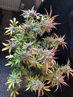 Review photo #4