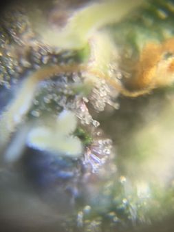 Review photo #1
