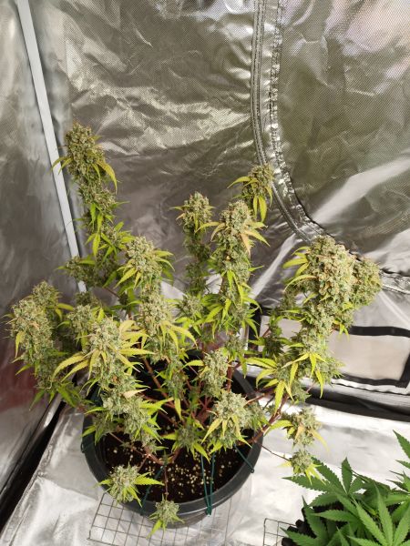 Review photo #3