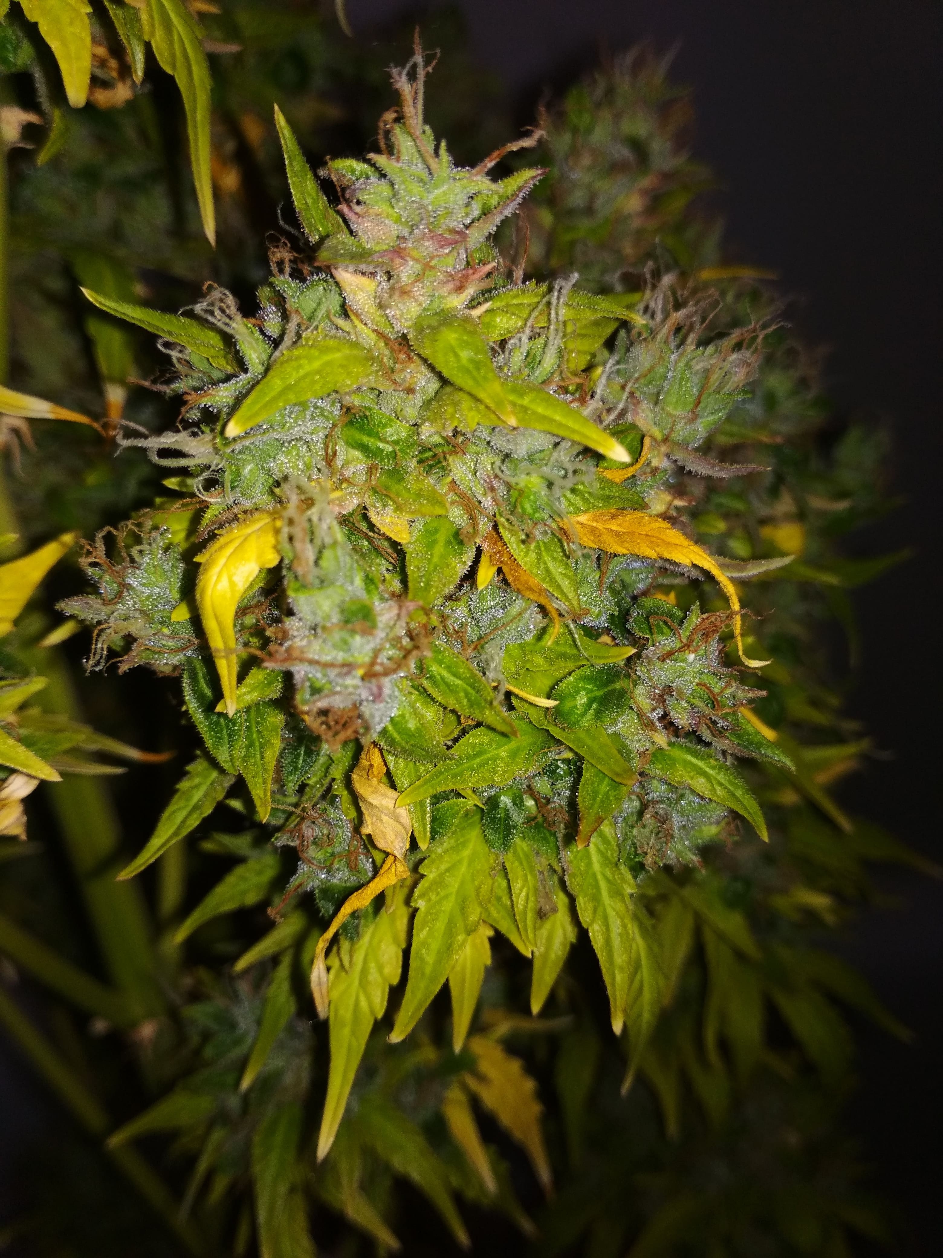 Review photo #4