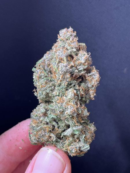 Review photo #1