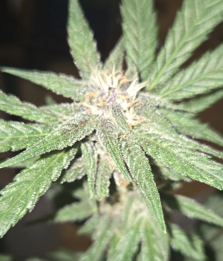 Review photo #3
