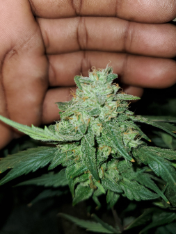 Review photo #4