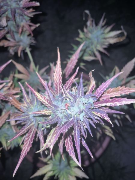 Review photo #7