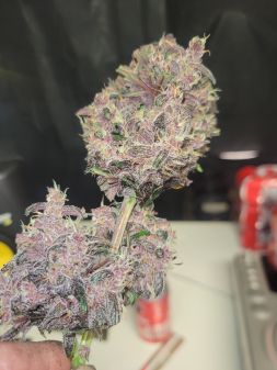 Review photo #4