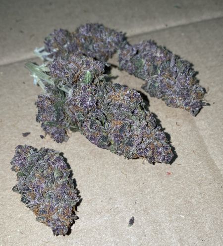 Review photo #2