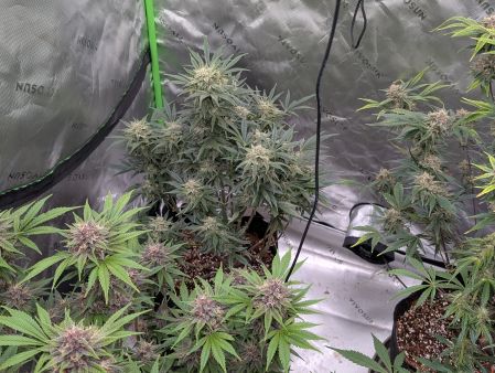 Review photo #3