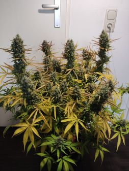 Review photo #5