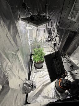 Review photo #3