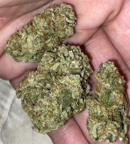 Review photo #5