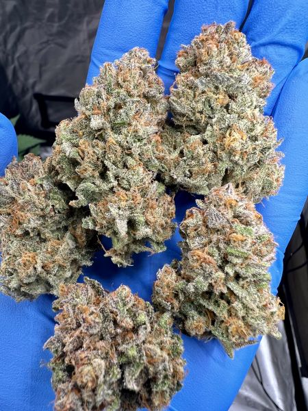 Review photo #5