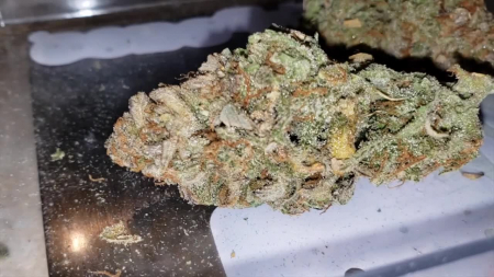 Review photo #2
