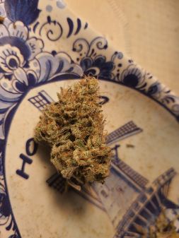 Review photo #5