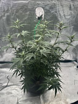Review photo #16