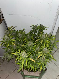 Review photo #4