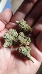 Review photo #4