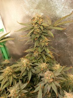 Review photo #5