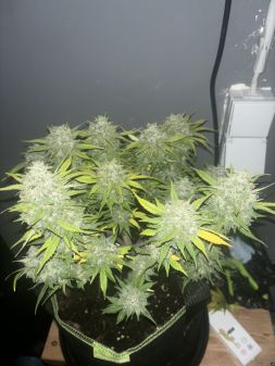 Review photo #3