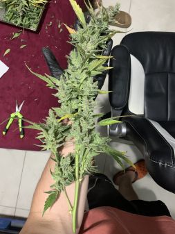 Review photo #2
