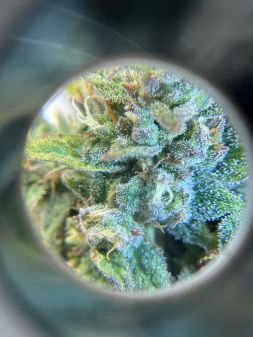 Review photo #7
