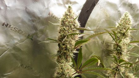Review photo #2