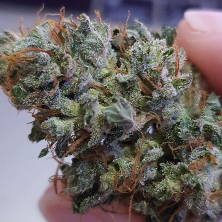 Review photo #3