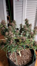 Review photo #4
