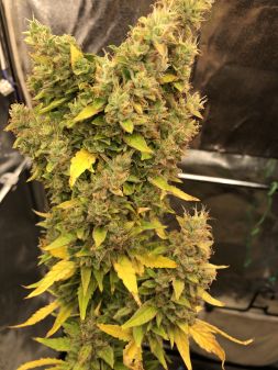 Review photo #3