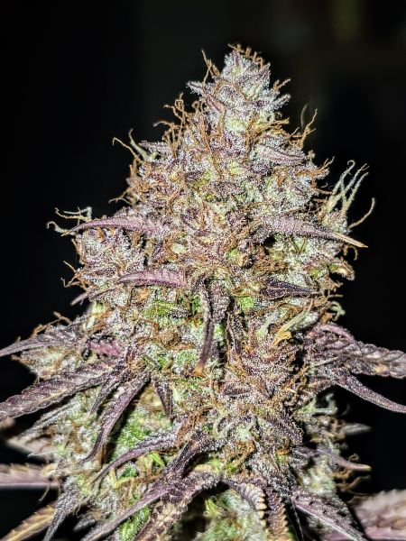 Review photo #5