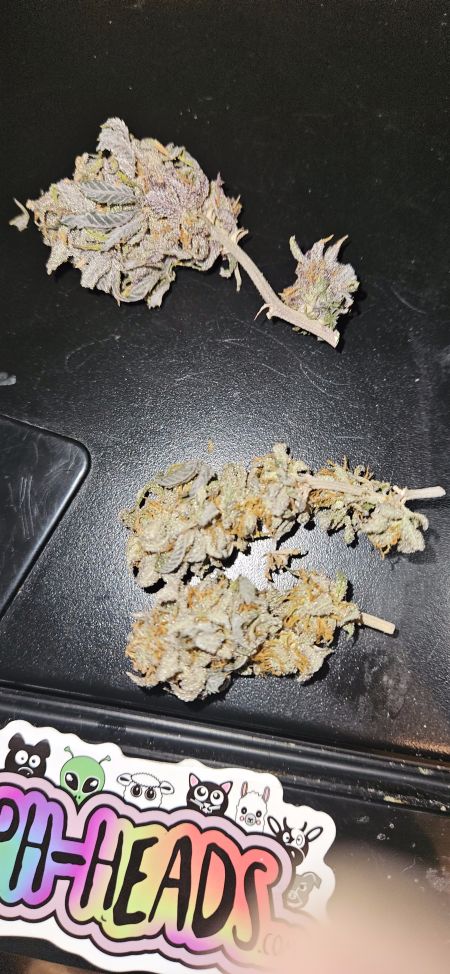 Review photo #7