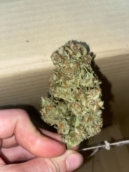 Review photo #1