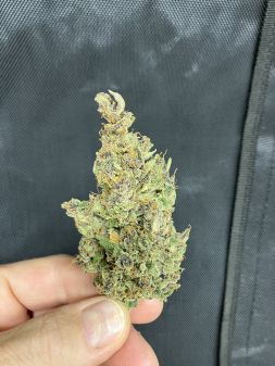 Review photo #2