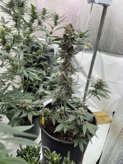 Review photo #1