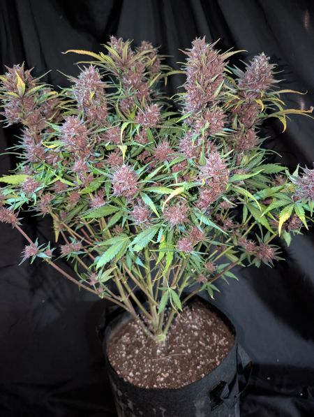 Review photo #2