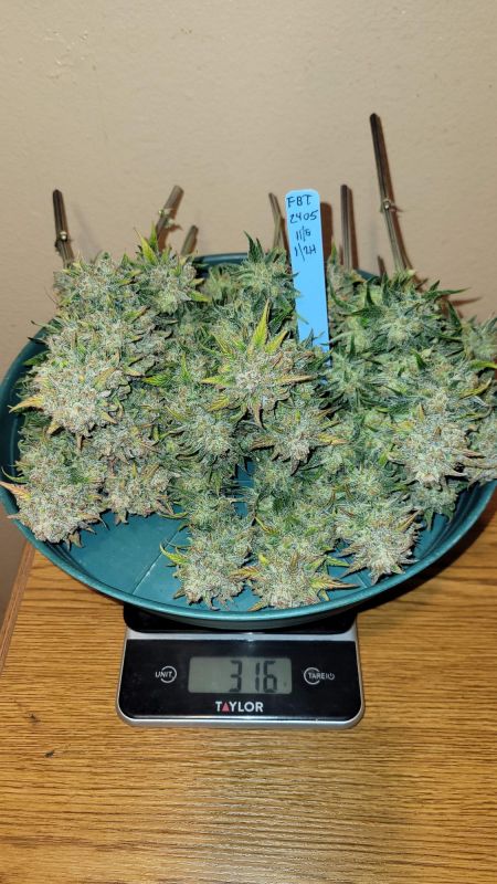 Review photo #1