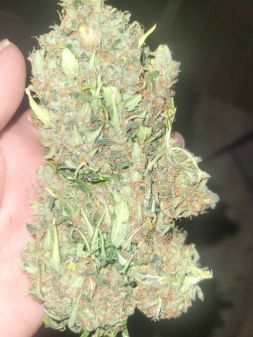 Review photo #7