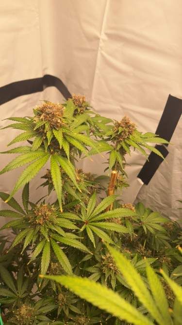 Review photo #6