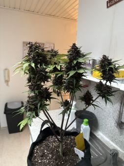 Review photo #4
